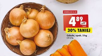 Biedronka Cebula żółta oferta