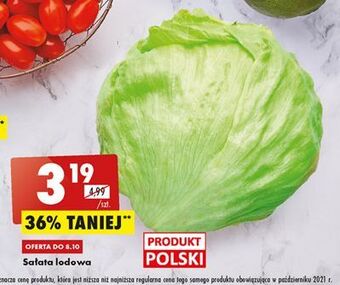 Biedronka Sałata lodowa oferta