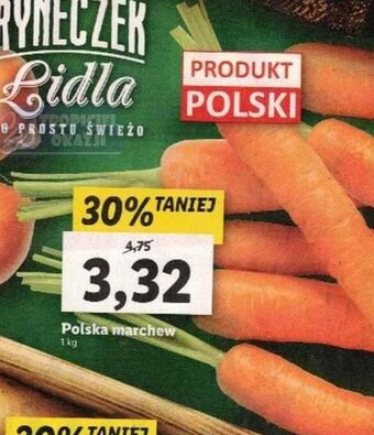 Lidl Polska marchew 1 kg oferta