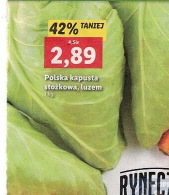 Lidl polska kapusta stożkowa, luzem 1 kg oferta