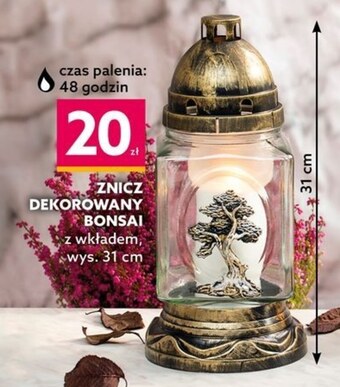 Dealz Znicz oferta