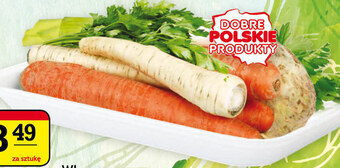 Włoszczyzna