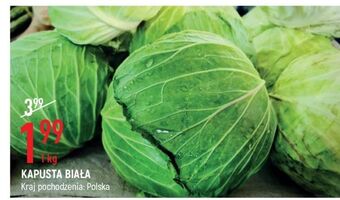 E.Leclerc Kapusta biała oferta