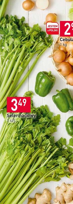 seler naciowy 1szt.