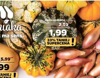 Netto Dynia ozdobna oferta