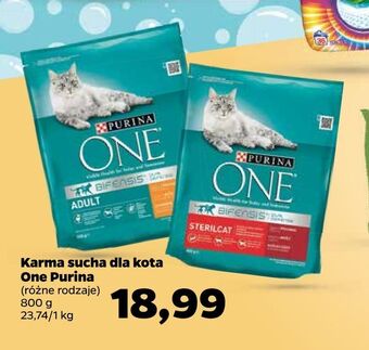 Netto Karma sucha dla kota one purina oferta