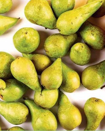 Netto Gruszka oferta