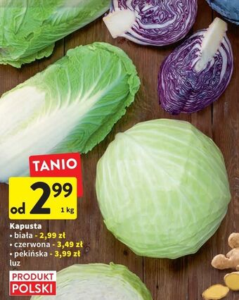 Intermarche Kapusta biała oferta