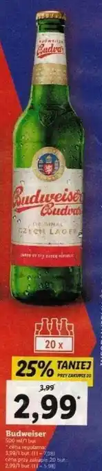 Lidl Budweiser oferta