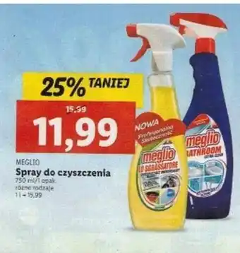 Lidl Meglio spray do czyszczenia oferta