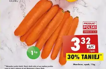 Biedronka Marchew opakowanie 1 kg oferta