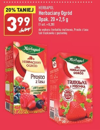ALDI Herbata truskawka z poziomką herbapol herbaciany ogród oferta