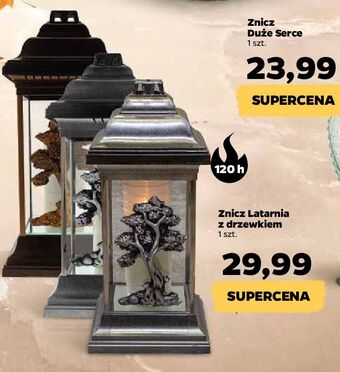 Netto Znicz latarnia z drzewem oferta