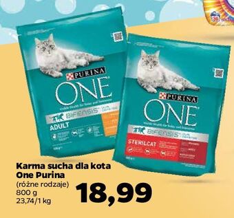 Netto Karma dla kota sterilcat wołowina i pszenica purina one oferta