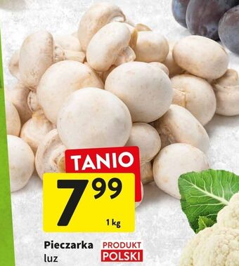 Intermarche Pieczarki oferta