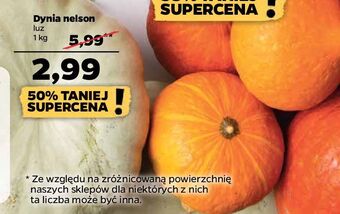 Netto Dynia nelson oferta