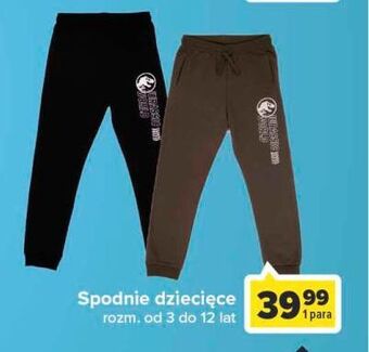 Carrefour Spodnie dziecięce oferta