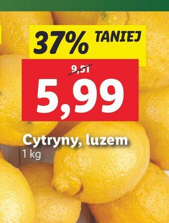 Lidl Cytryny oferta