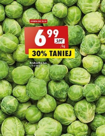 Biedronka Brukselka oferta