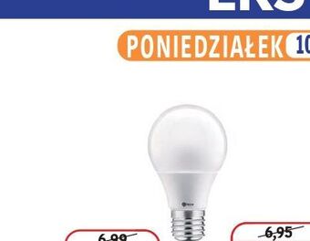 E.Leclerc Bukiet róż floral styl oferta