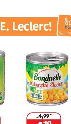E.Leclerc Złoty mintaj frosta oferta