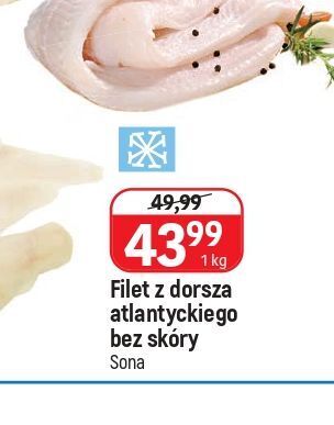 E.Leclerc Zaparzacz szklany royal 600 ml dajar oferta