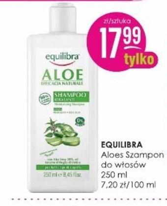 Jaśmin Szampon equllibra oferta
