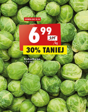 Biedronka Brukselka oferta