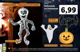 Lidl Dekoracja szkielet livarno home oferta