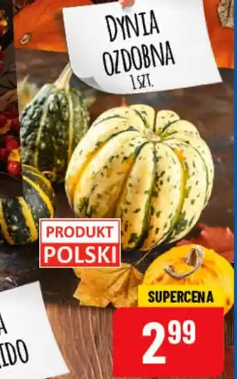 Polomarket dynia ozdobna oferta