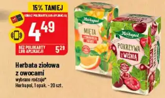 Polomarket Herbapol herbata ziołowa z owocami oferta