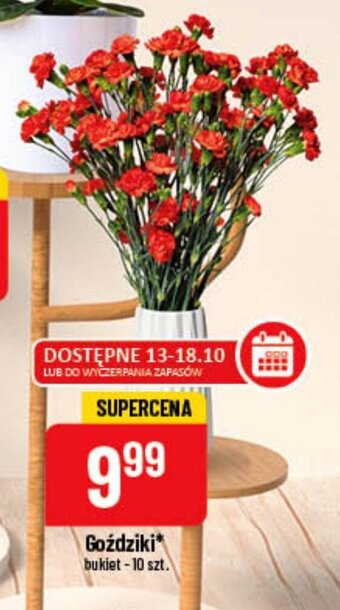 Polomarket Goździki oferta