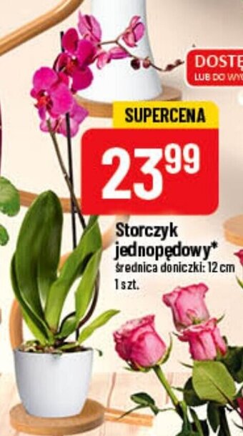 Polomarket Storczyk jednopędowy oferta