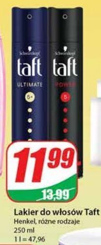 Dino Lakier do włosów taft power oferta