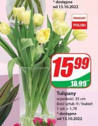 Tulipany 35 cm