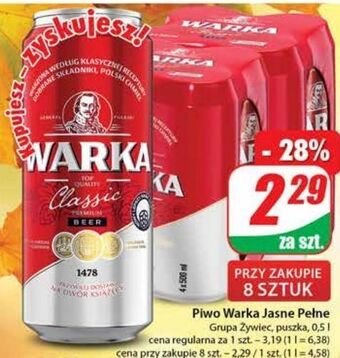 Dino Piwo warka oferta