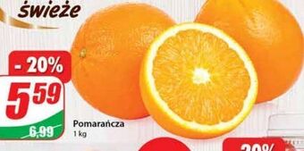 Dino Pomarańcze oferta