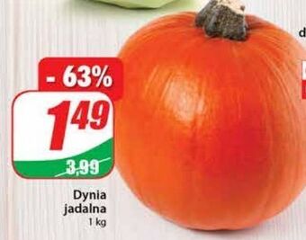 Dino Dynia oferta