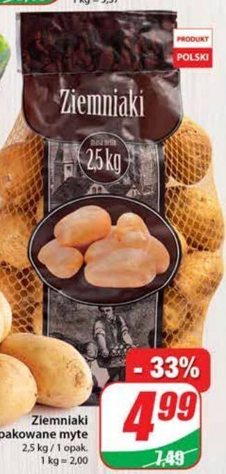 Dino Ziemniaki oferta
