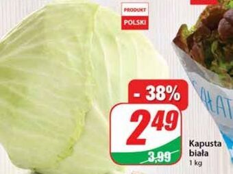 Dino Kapusta biała oferta