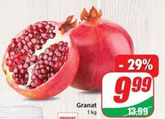 Dino Granat oferta