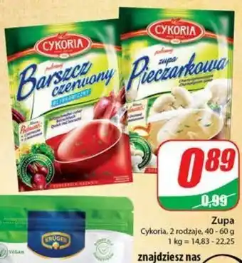 Dino Barszcz czerwony cykoria oferta