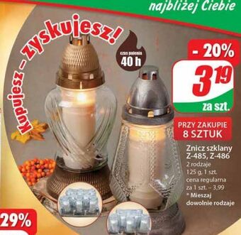 Dino Znicz z wkładem 485 48 h oferta