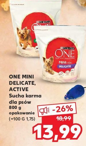 Kaufland Karma dla psa delicate mini łosoś i ryż purina one oferta