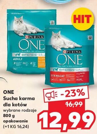 Kaufland Karma dla kota sterilcat wołowina i pszenica purina one oferta