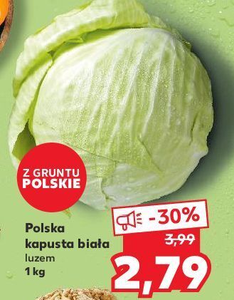 Kaufland Kapusta biała oferta