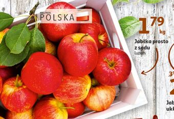 Auchan Jabłka oferta