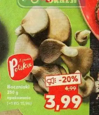 Kaufland Boczniaki 250g oferta