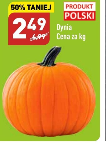 ALDI Dynia aldi oferta