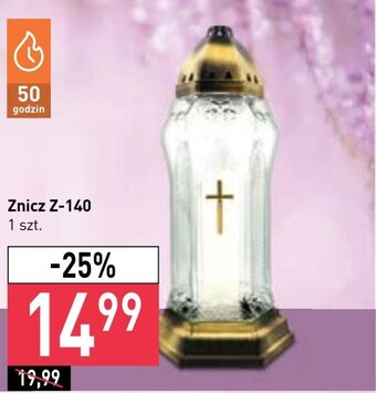 Stokrotka Znicz oferta